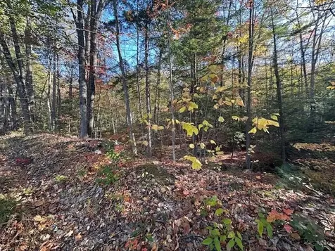 00 Old Walpole Road Surry NH 03431