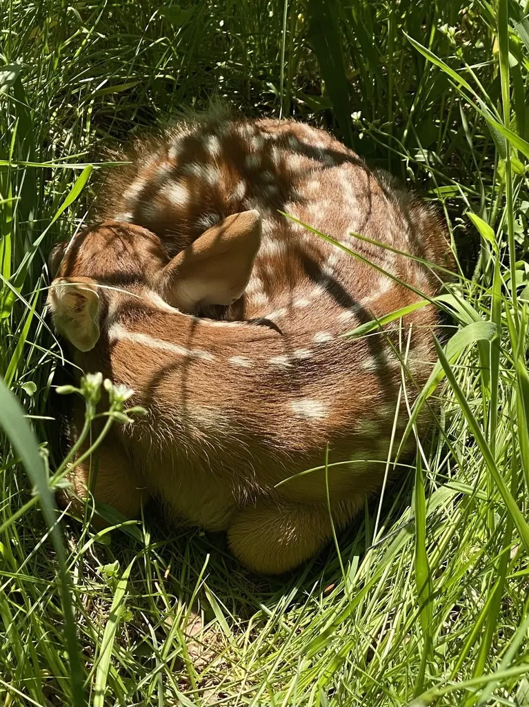 1372 Mud Pond Road Thetford VT 05075