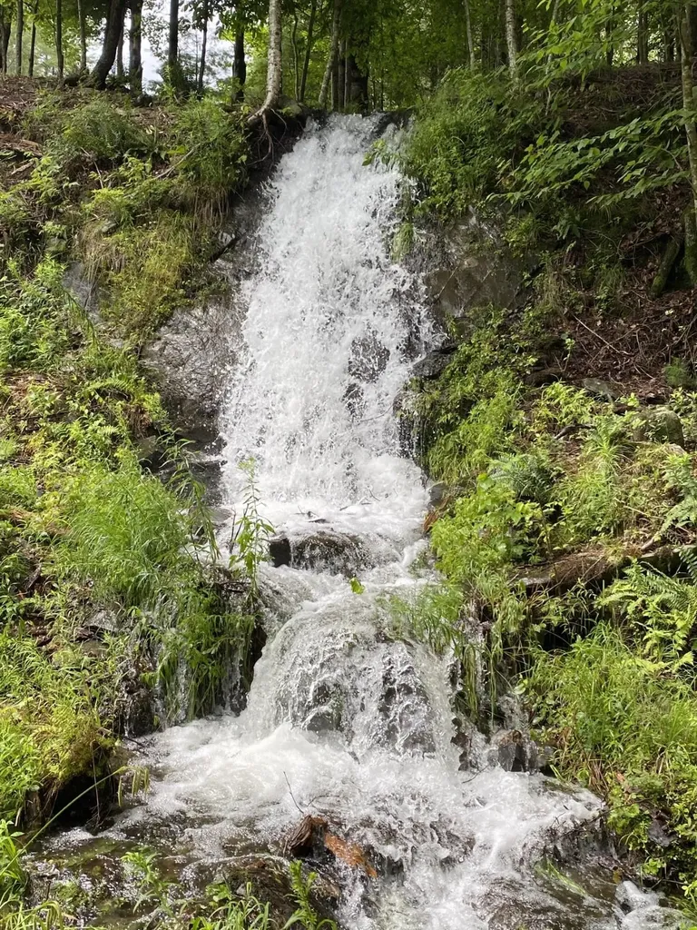 1372 Mud Pond Road Thetford VT 05075