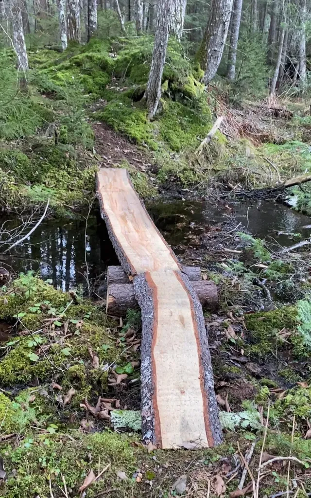 1372 Mud Pond Road Thetford VT 05075