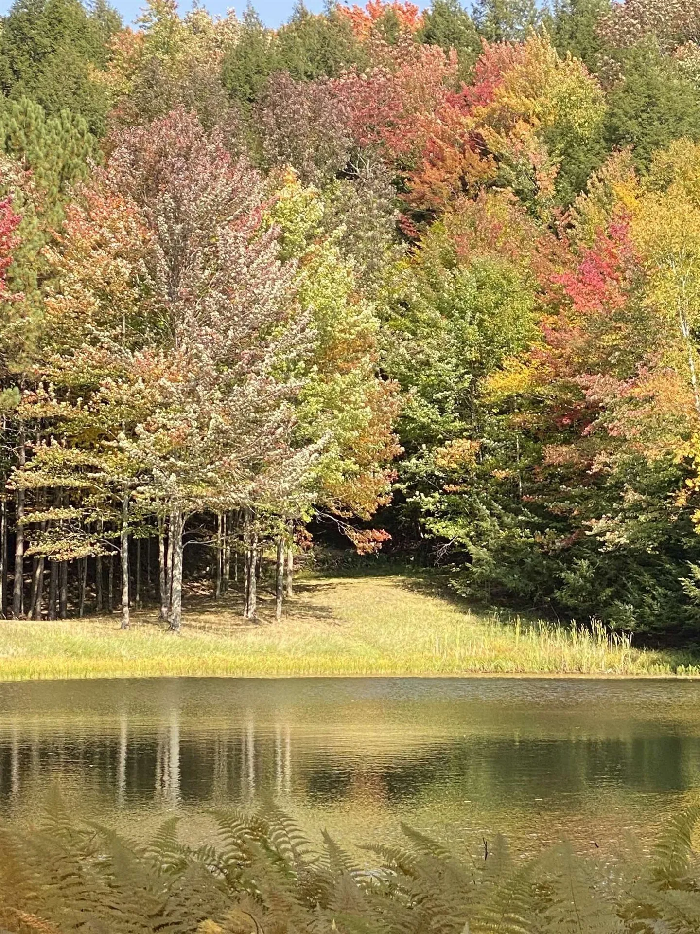 1372 Mud Pond Road Thetford VT 05075