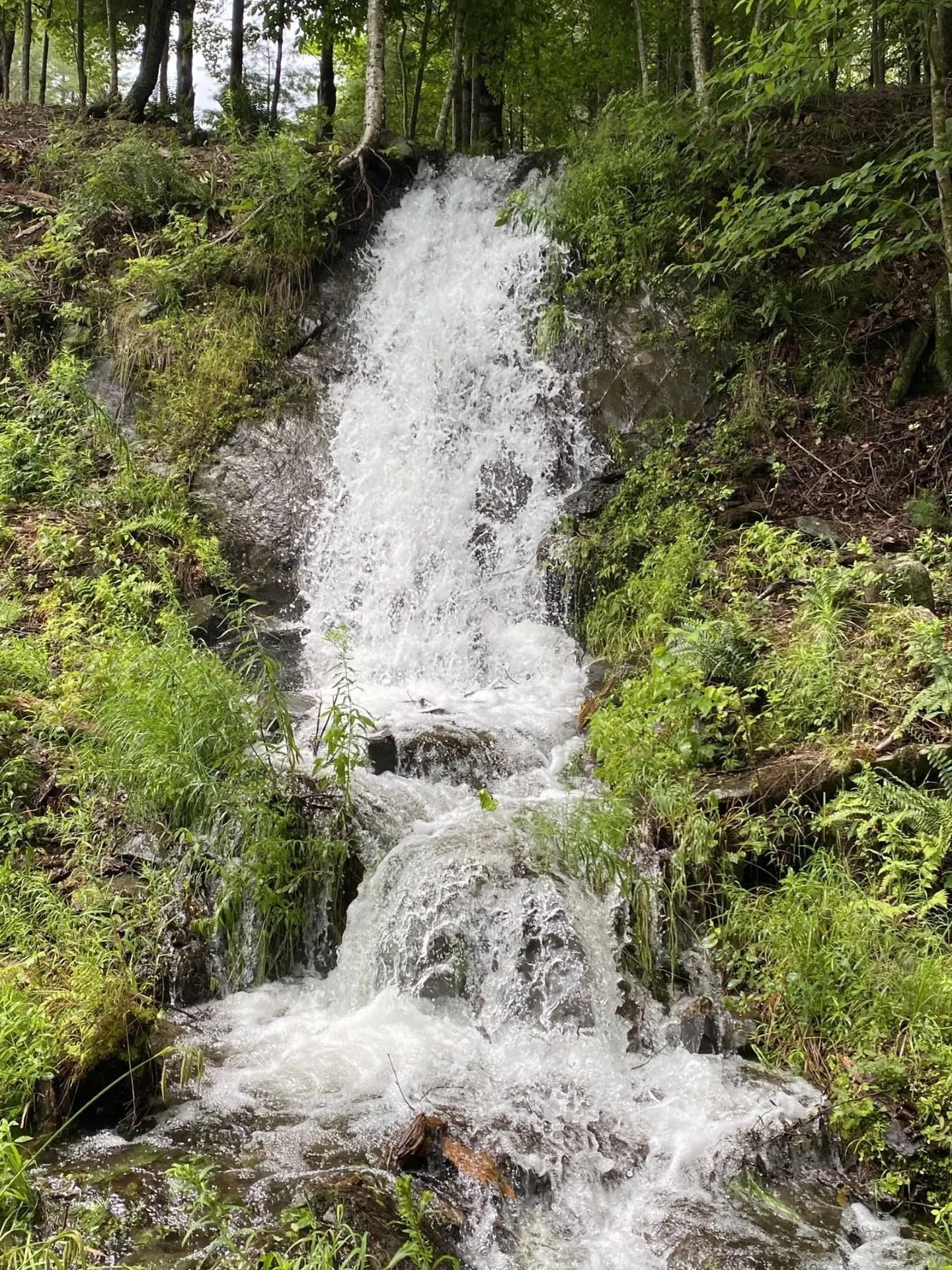 1372 Mud Pond Road Thetford VT 05075