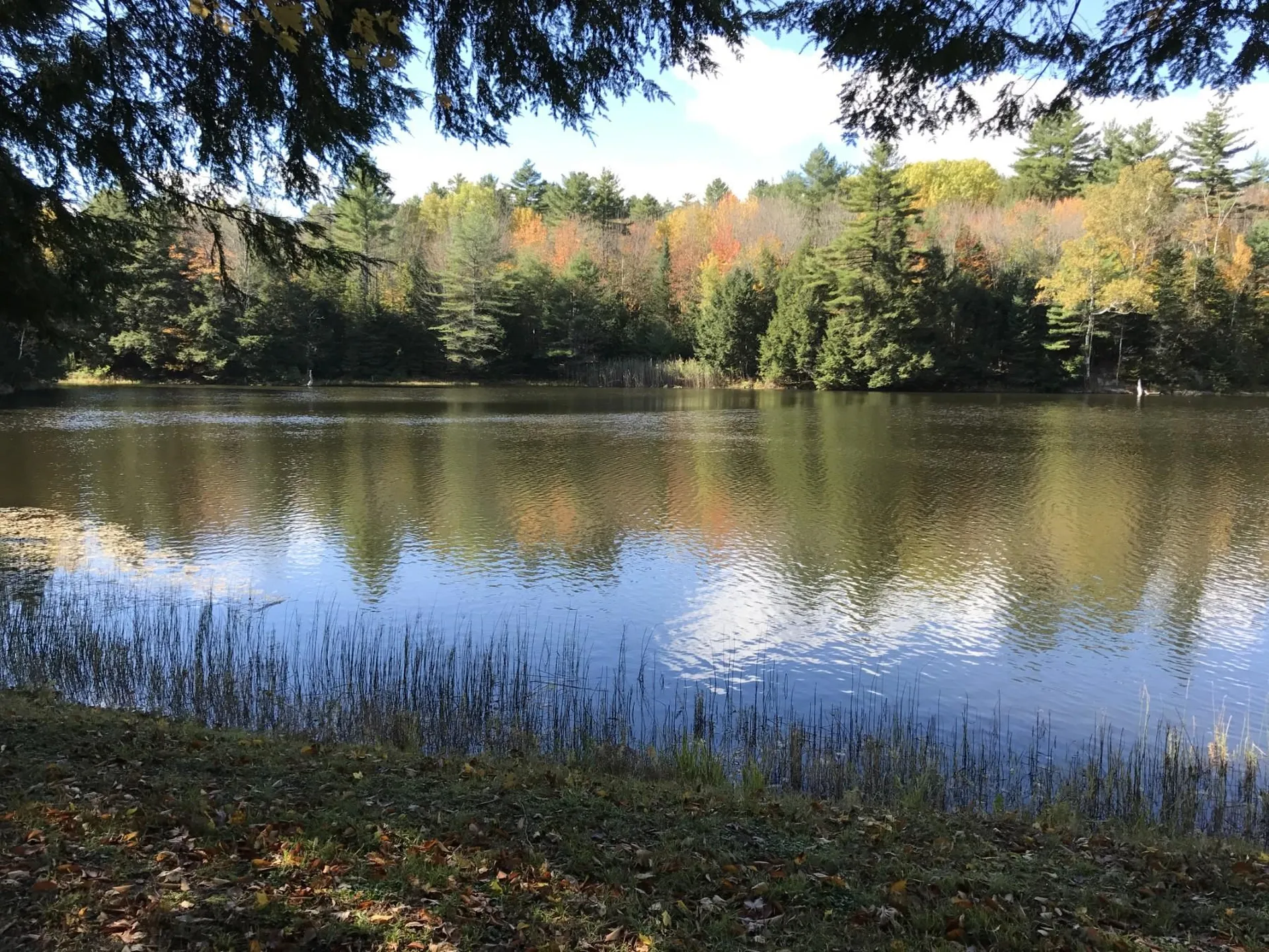 1372 Mud Pond Road Thetford VT 05075