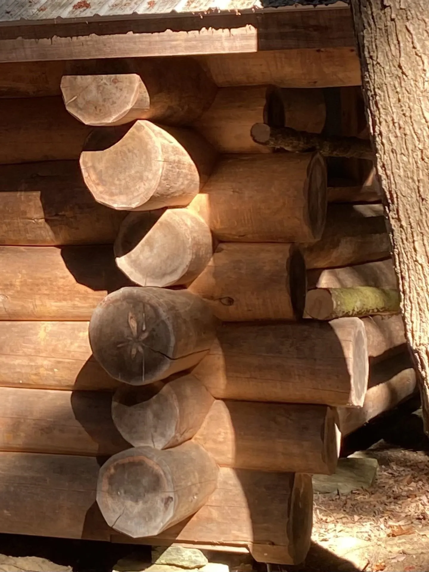 1372 Mud Pond Road Thetford VT 05075