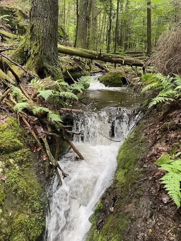 1372 Mud Pond Road Thetford VT 05075