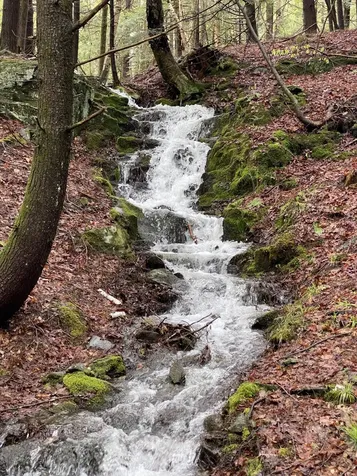 1372 Mud Pond Road Thetford VT 05075