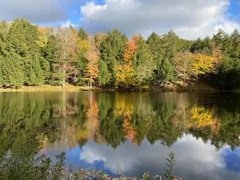 1372 Mud Pond Road Thetford VT 05075