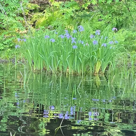 1372 Mud Pond Road Thetford VT 05075