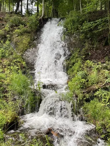 1372 Mud Pond Road Thetford VT 05075