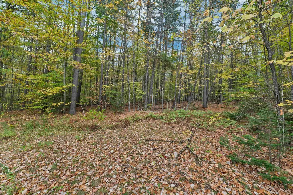 88 Donovan Farm Road Campton NH 03223