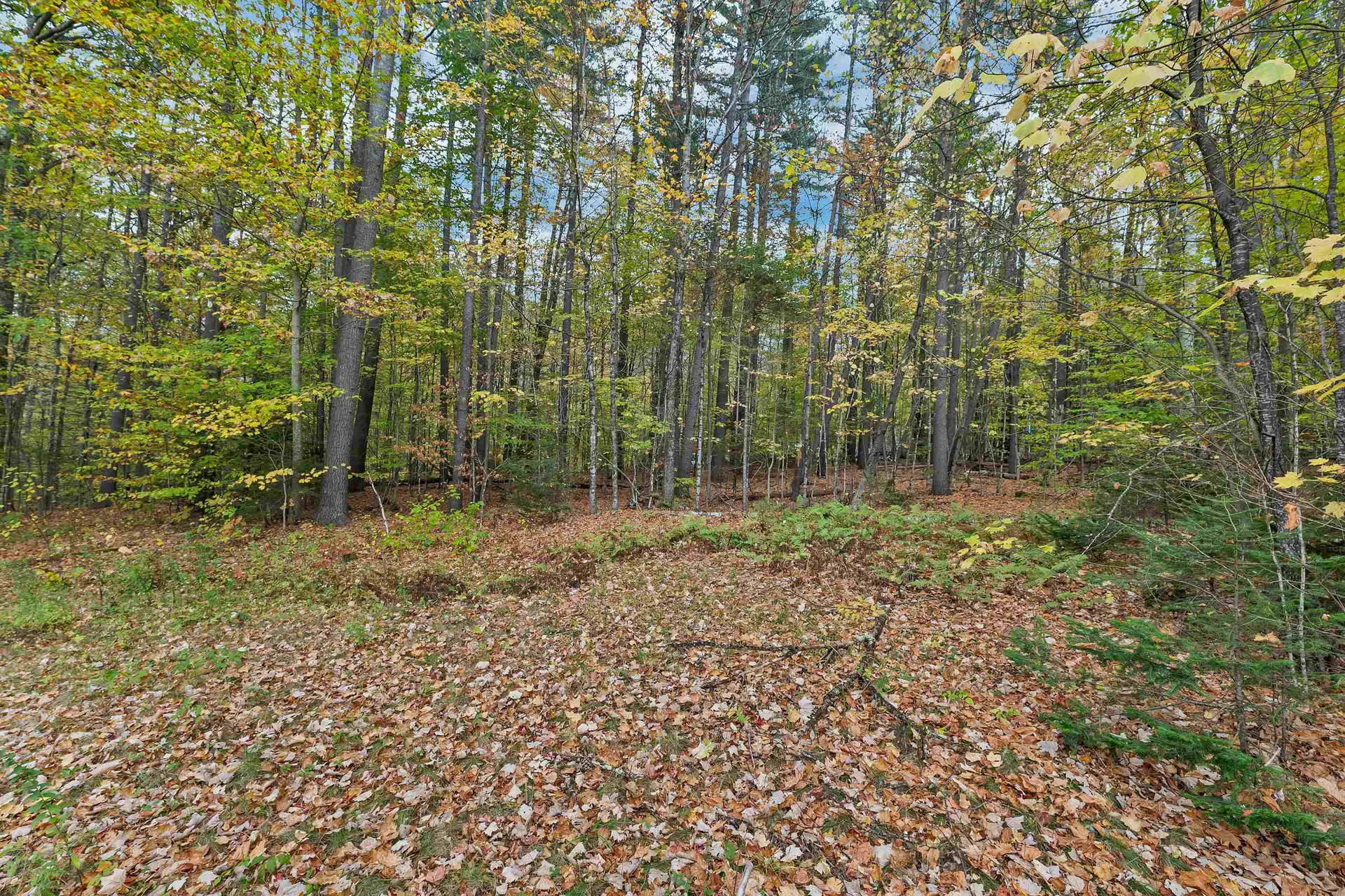 88 Donovan Farm Road Campton NH 03223