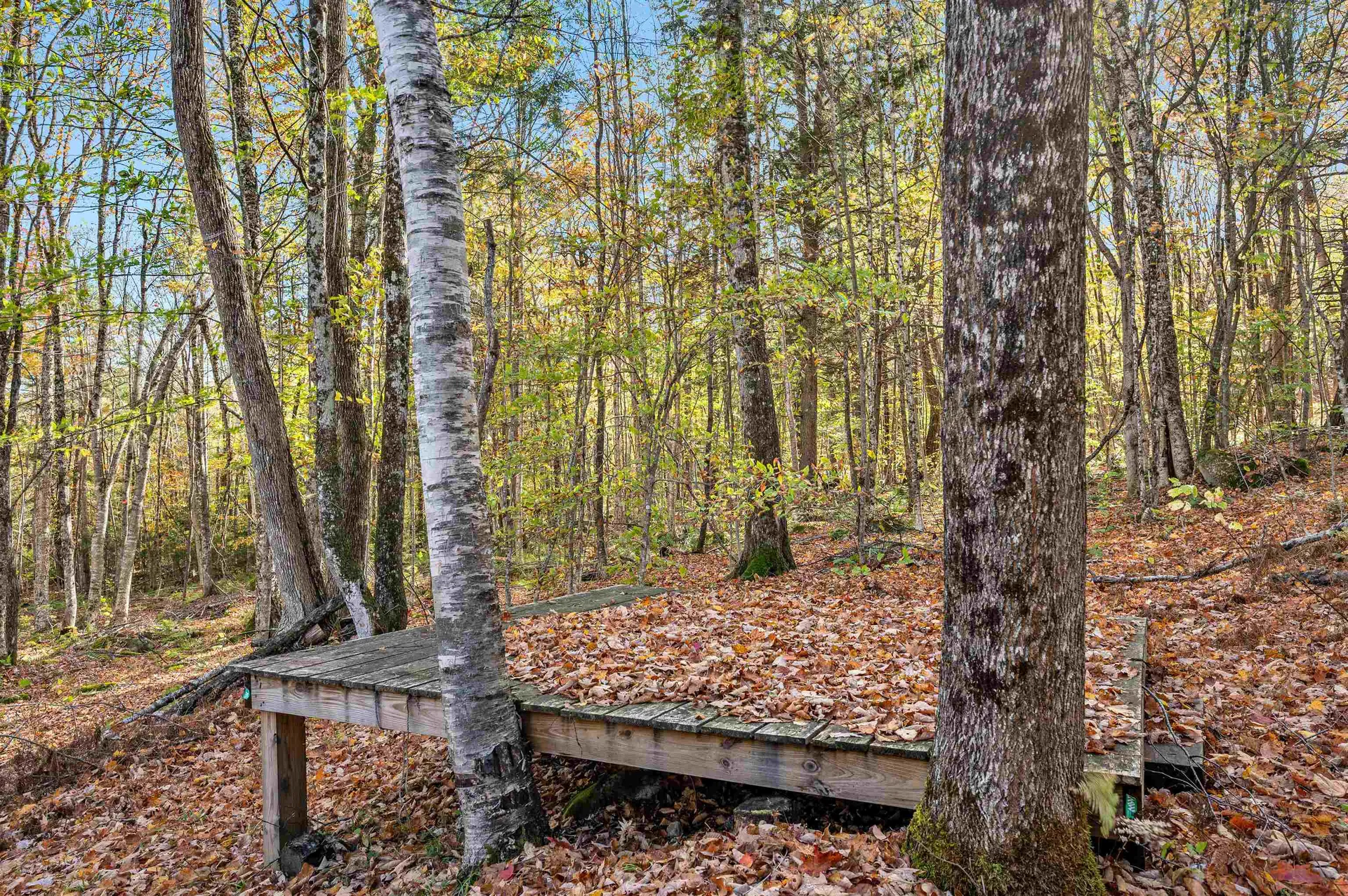 802 Levi Pond Road Groton VT 05046