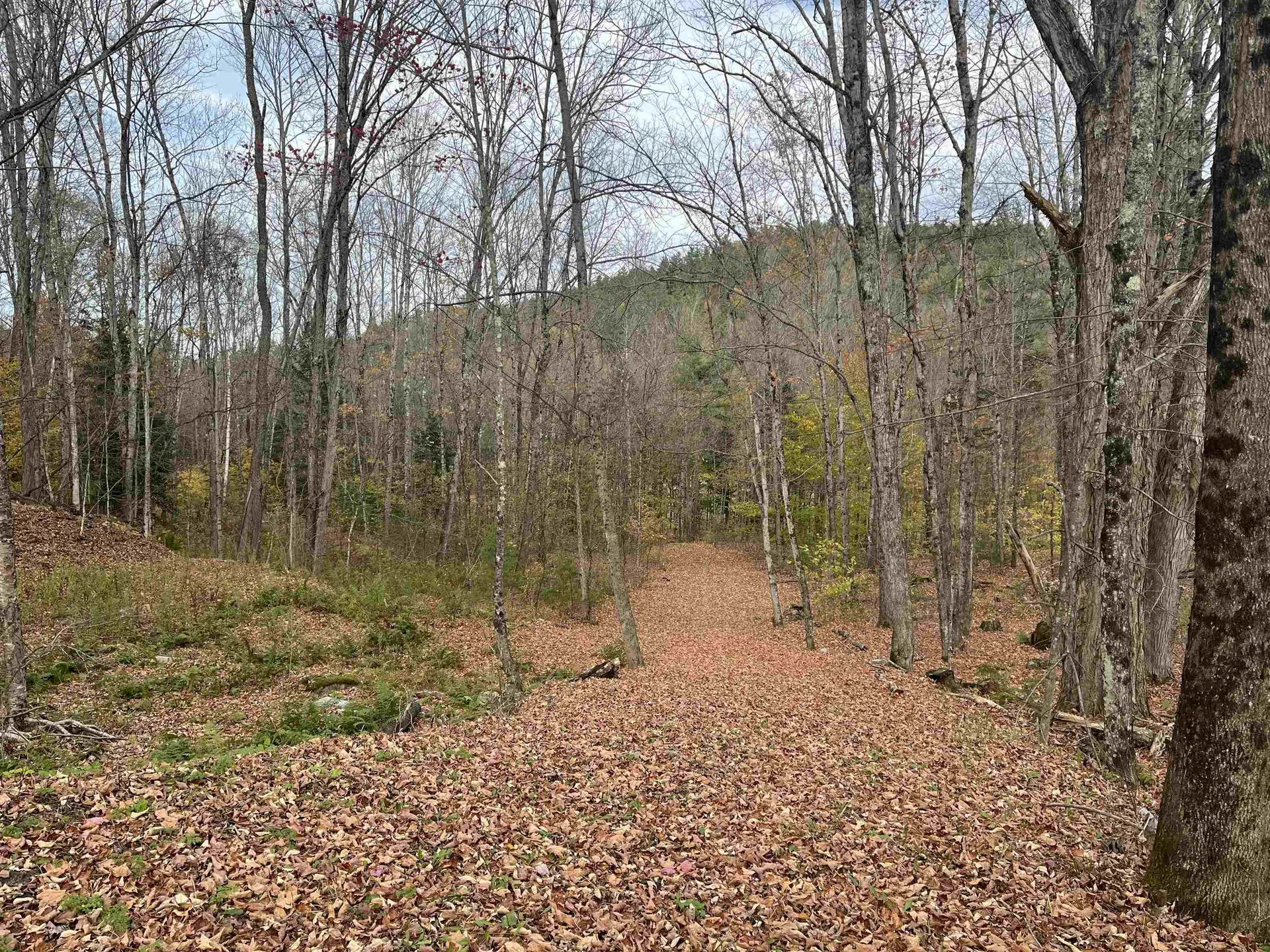 124 Goodfellow Road Groton VT 05046