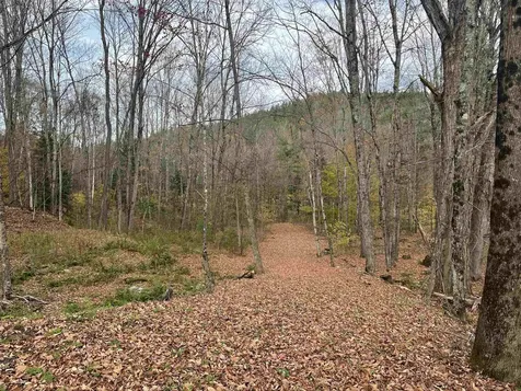 124 Goodfellow Road Groton VT 05046