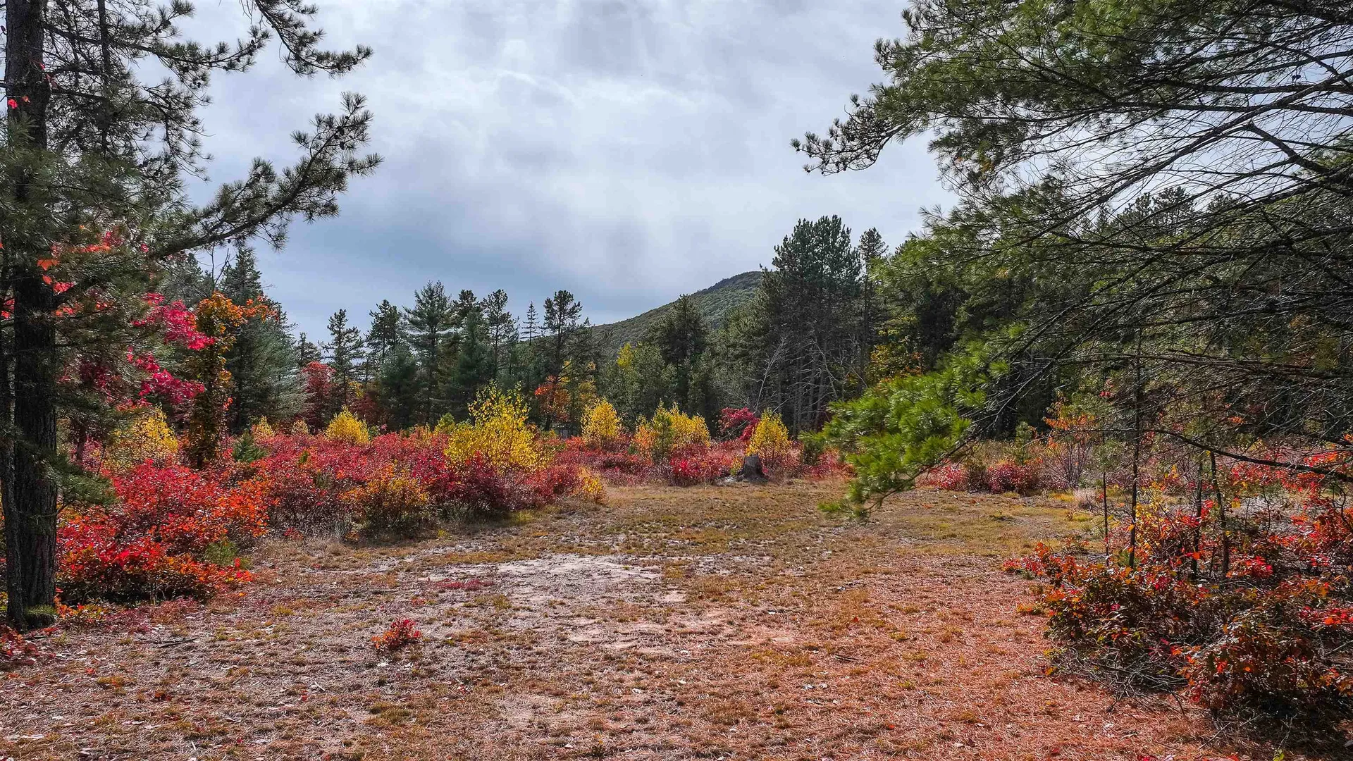 97 Pig Street Brownfield ME 04010