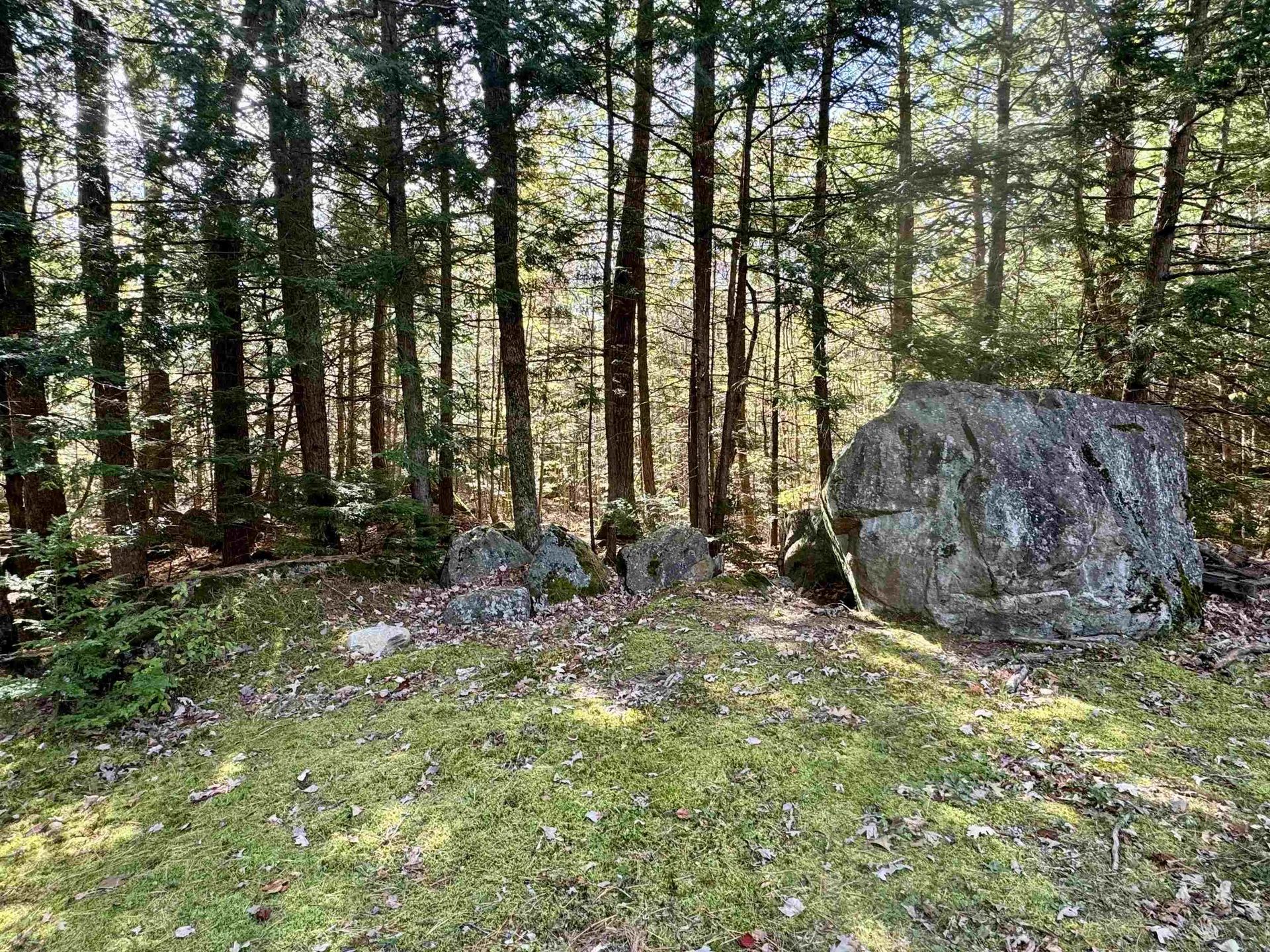 61 Rumford Drive Webster NH 03303