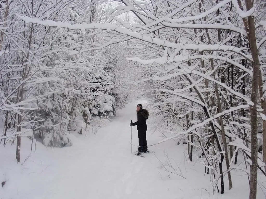 4 Jack O'lantern Drive Woodstock NH 03262