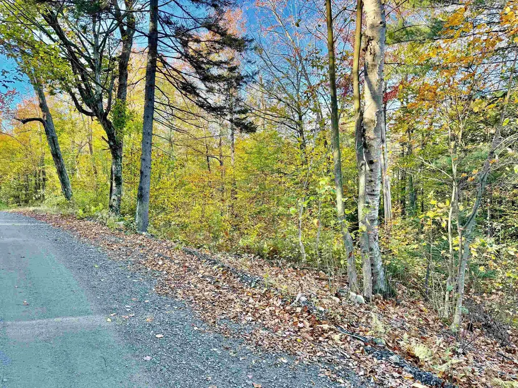 0 Townshend Dam Road Wardsboro VT 05355