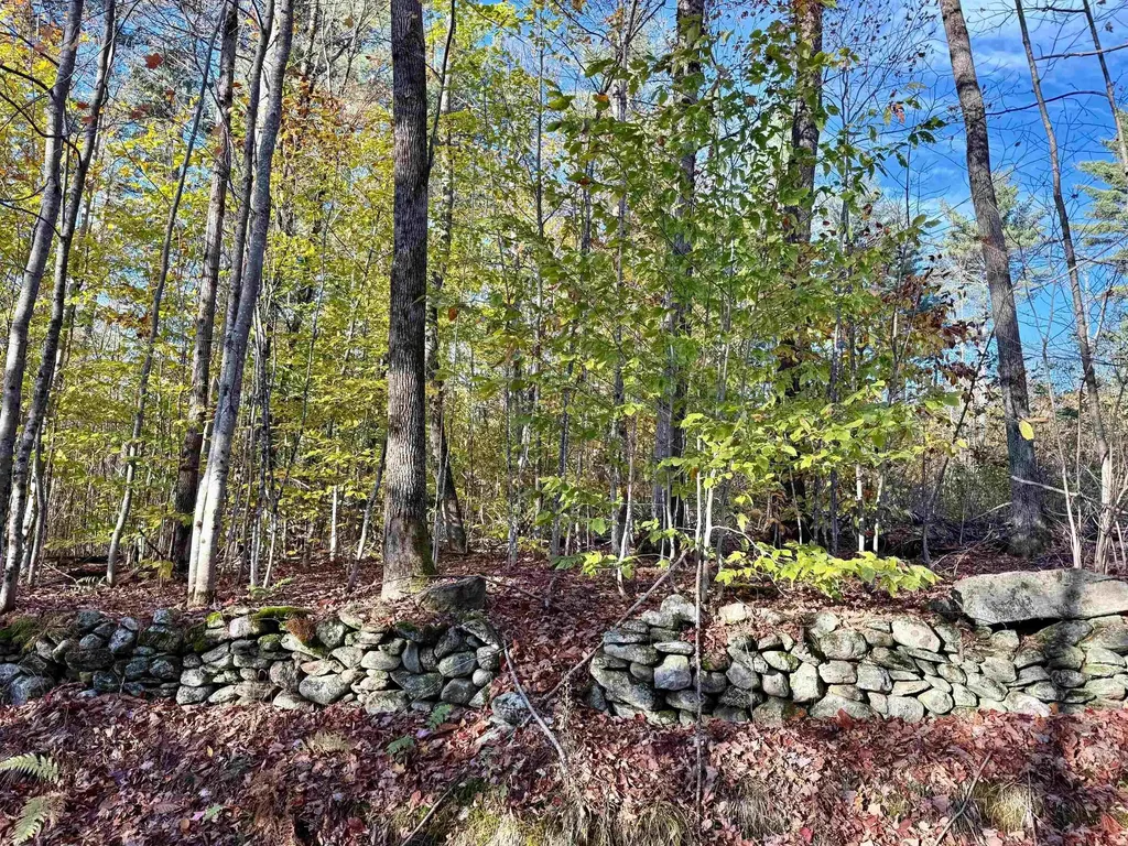 0 Townshend Dam Road Wardsboro VT 05355