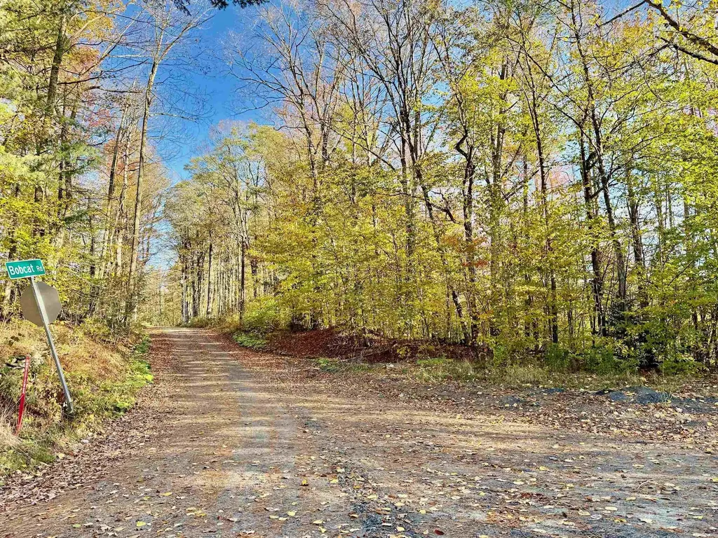 0 Townshend Dam Road Wardsboro VT 05355