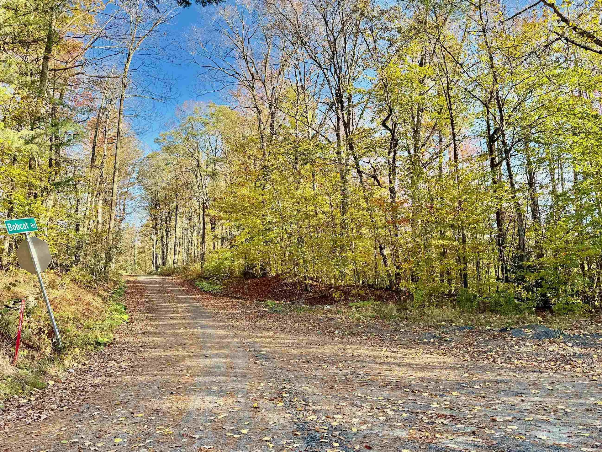 0 Townshend Dam Road Wardsboro VT 05355