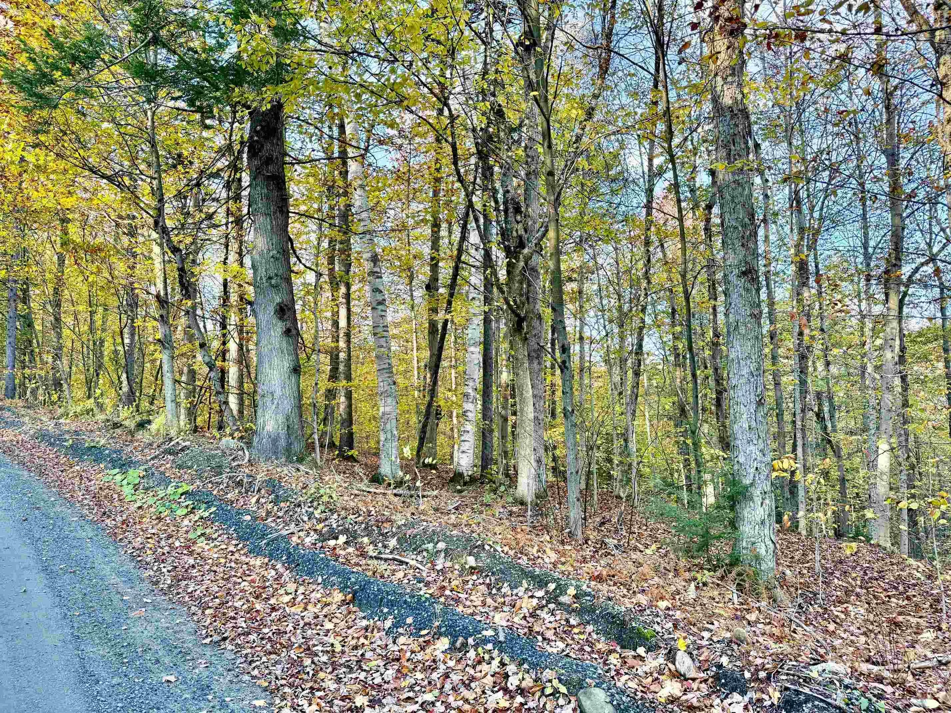 0 Townshend Dam Road Wardsboro VT 05355