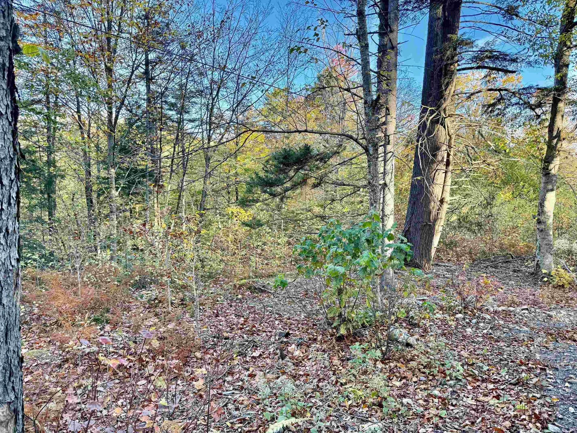 0 Townshend Dam Road Wardsboro VT 05355