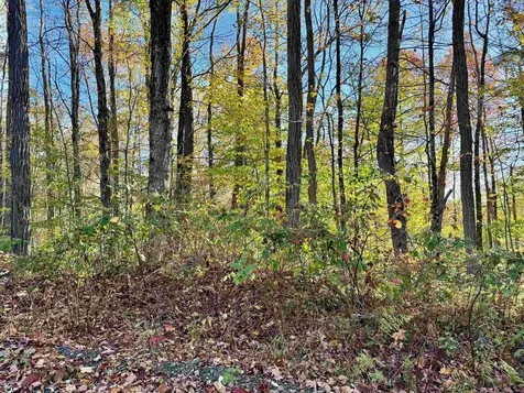 0 Townshend Dam Road Wardsboro VT 05355