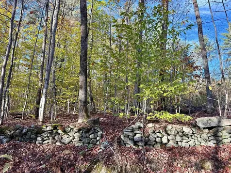 0 Townshend Dam Road Wardsboro VT 05355