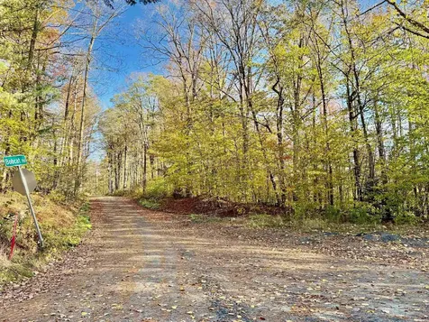 0 Townshend Dam Road Wardsboro VT 05355