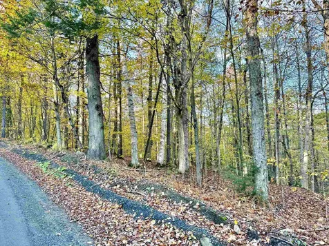 0 Townshend Dam Road Wardsboro VT 05355