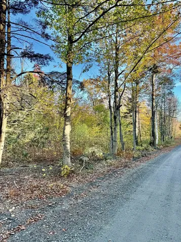 0 Townshend Dam Road Wardsboro VT 05355