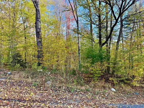 0 Townshend Dam Road Wardsboro VT 05355