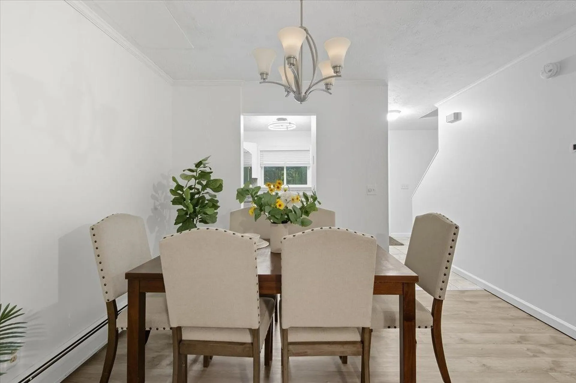 701 Dorset Street South Burlington VT 05403