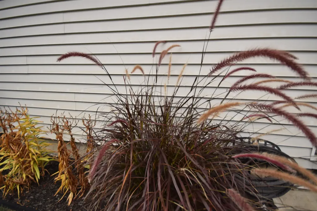 54 Faith Street Burlington VT 05408