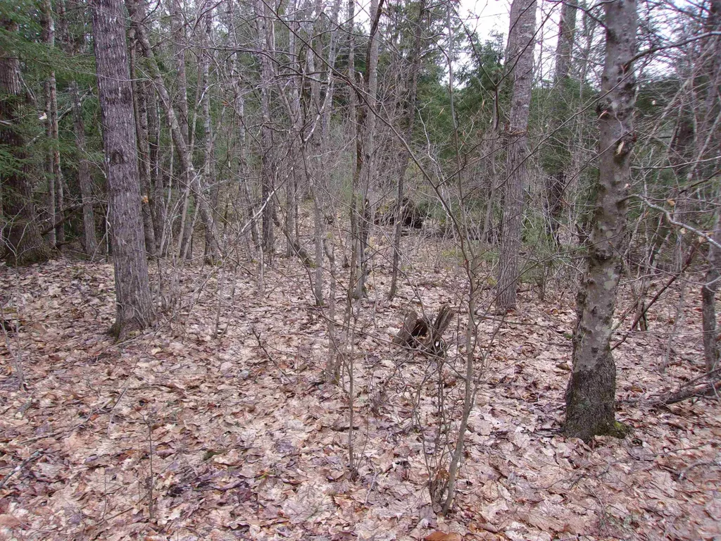 Fenn Way Circle Bath NH 03740