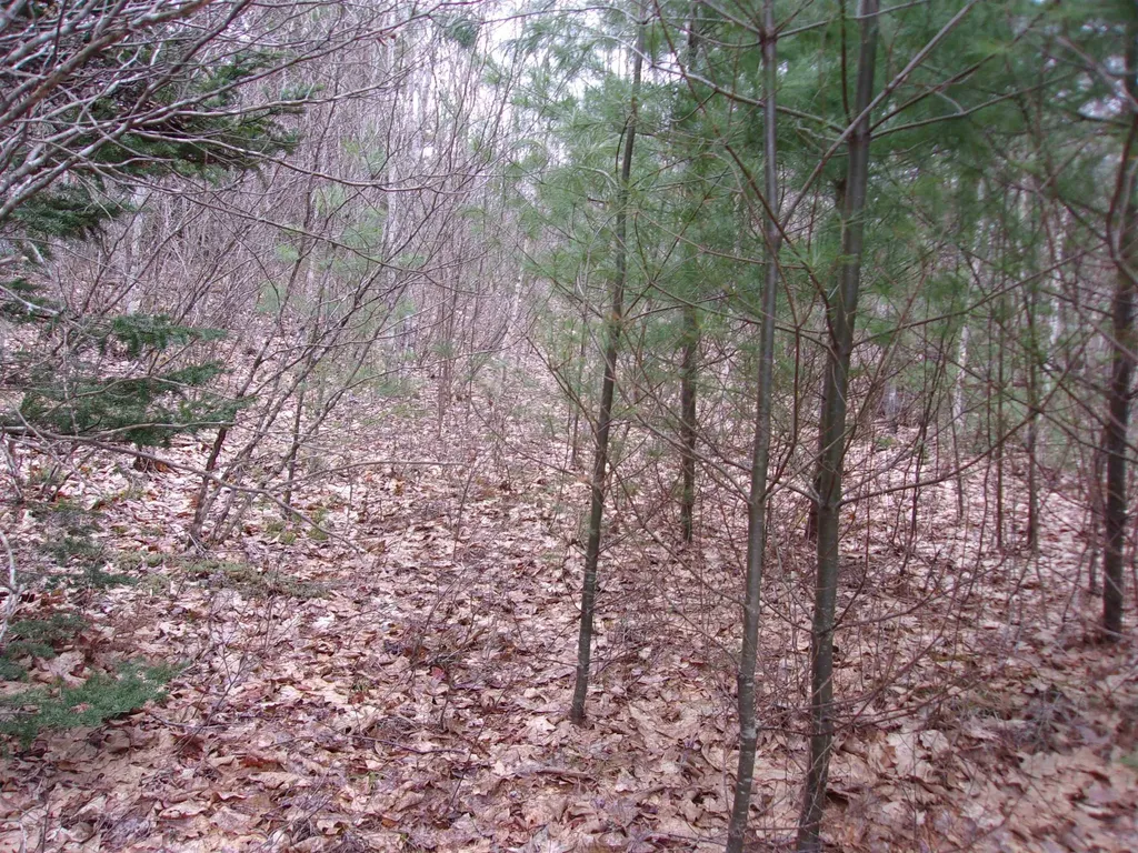 Fenn Way Circle Bath NH 03740