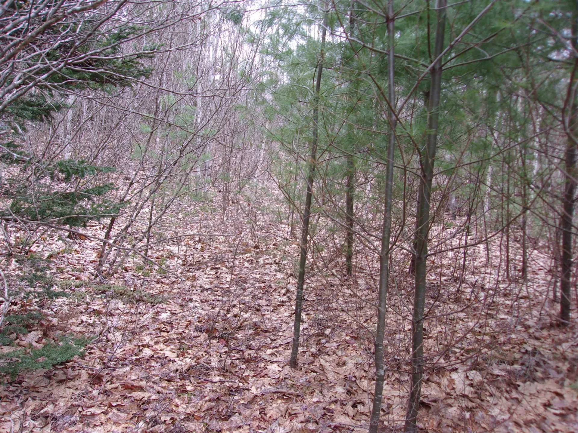 Fenn Way Circle Bath NH 03740