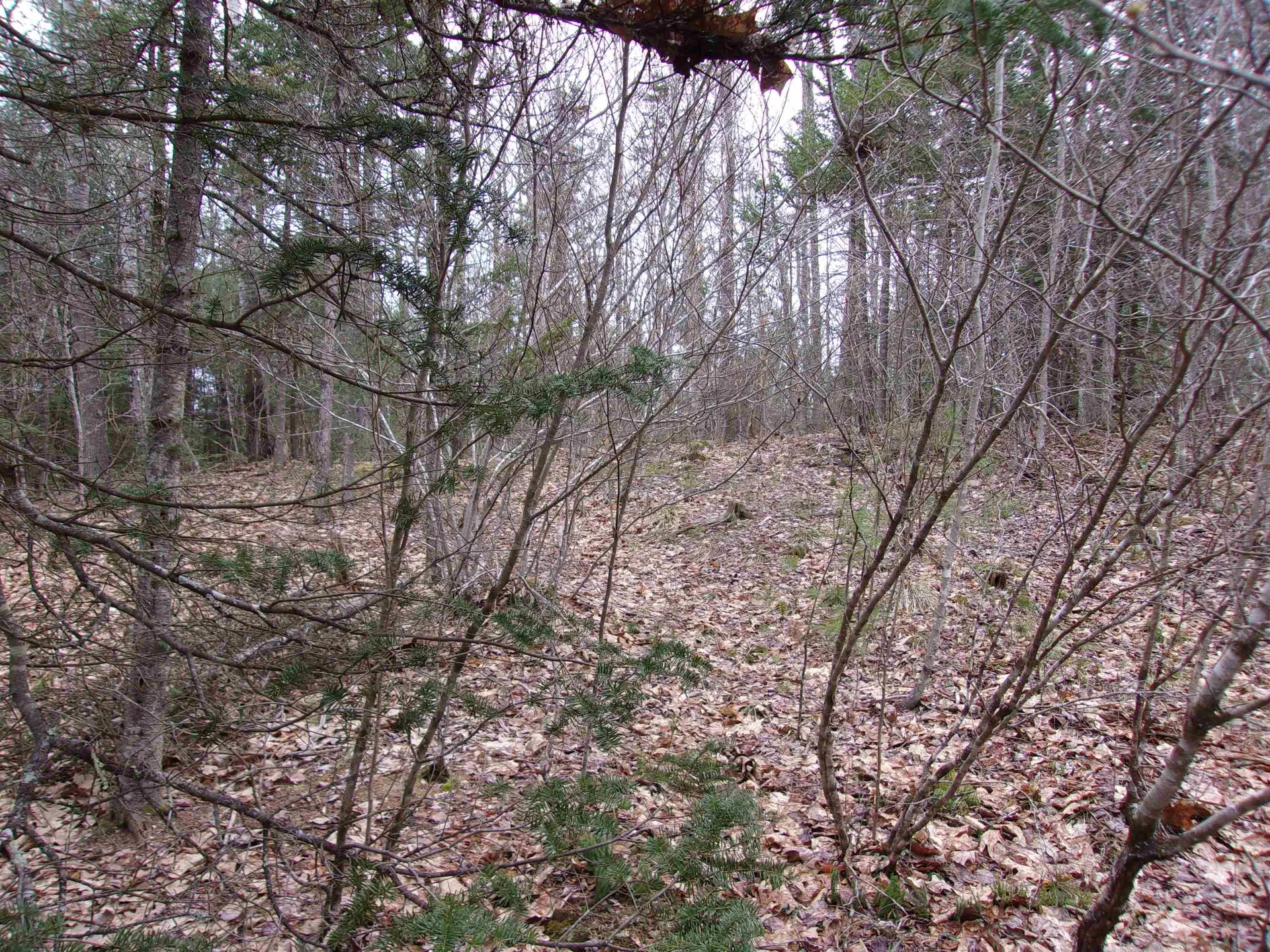 Fenn Way Circle Bath NH 03740