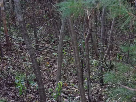 Fenn Way Circle Bath NH 03740