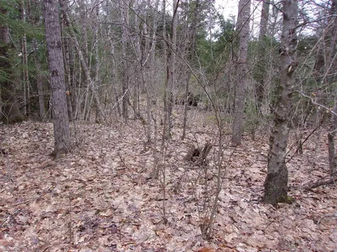 Fenn Way Circle Bath NH 03740