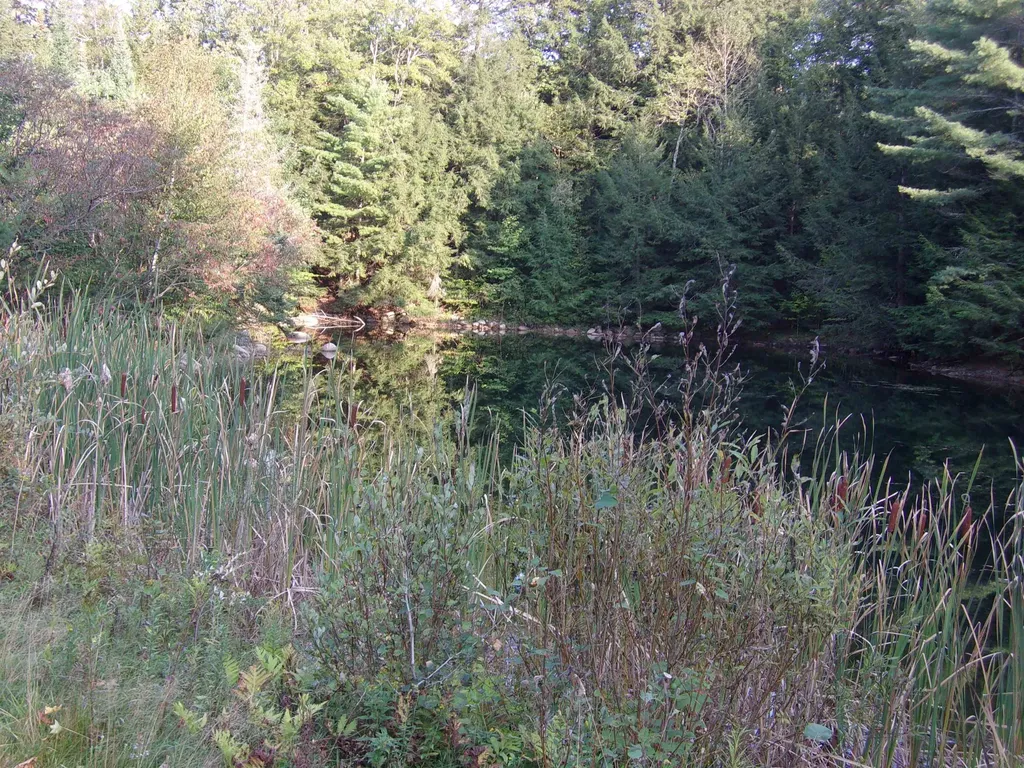 Fenn Way Circle Bath NH 03740