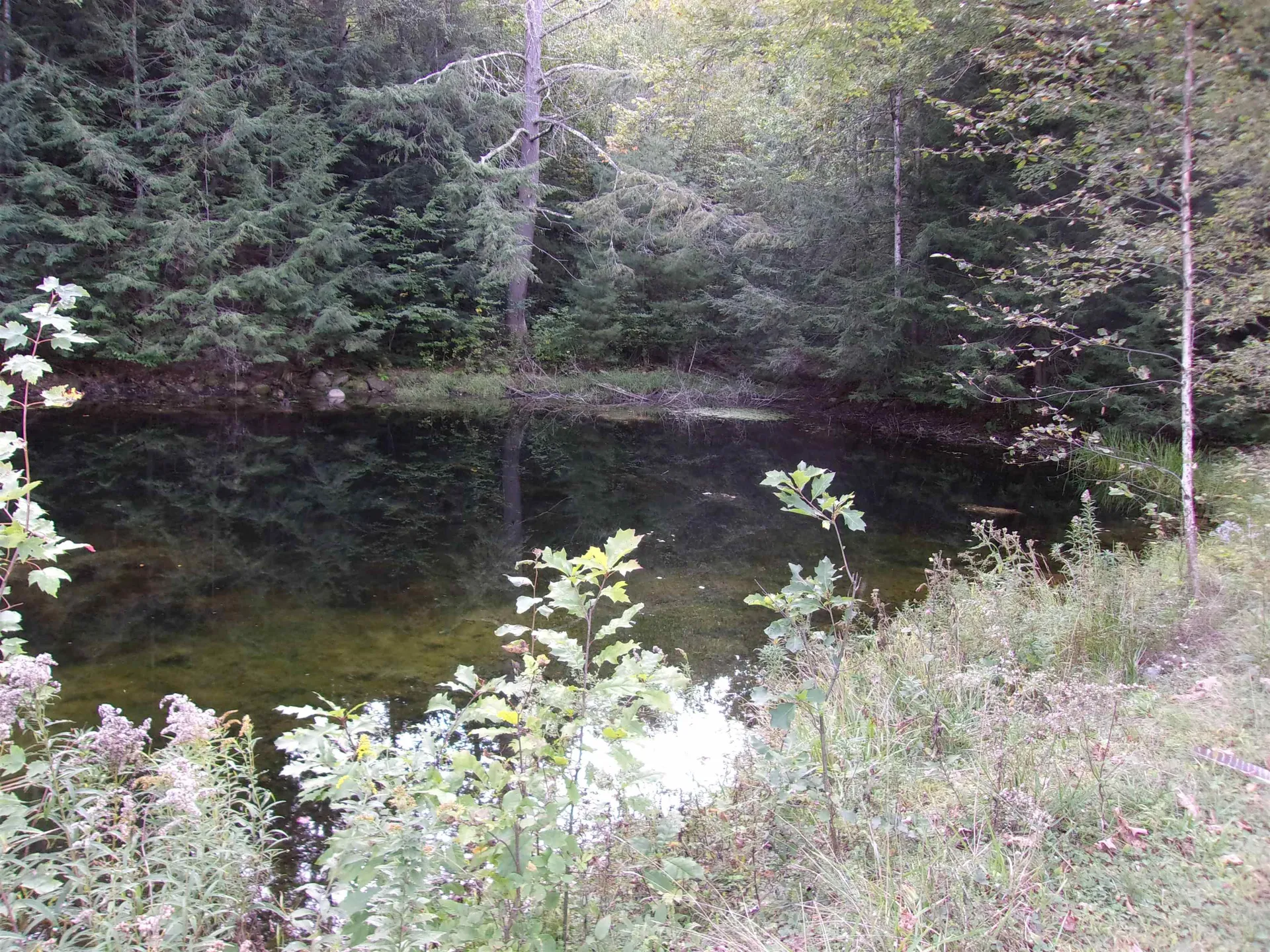 Fenn Way Circle Bath NH 03740