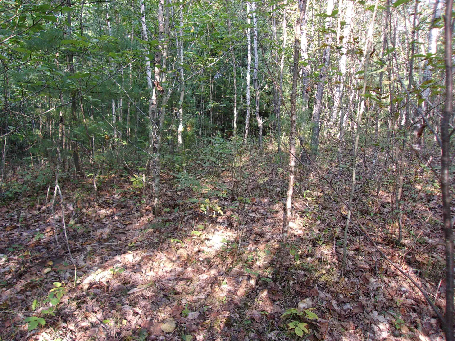 Fenn Way Circle Bath NH 03740