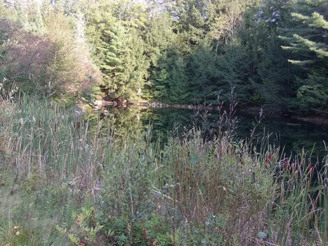 Fenn Way Circle Bath NH 03740