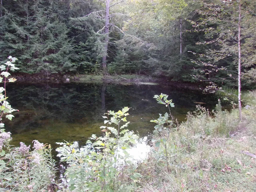 Fenn Way Circle Bath NH 03740