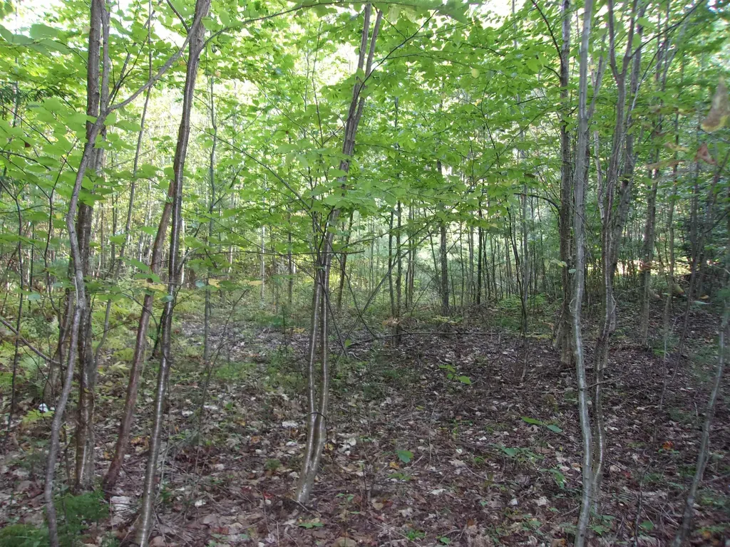 Fenn Way Circle Bath NH 03740