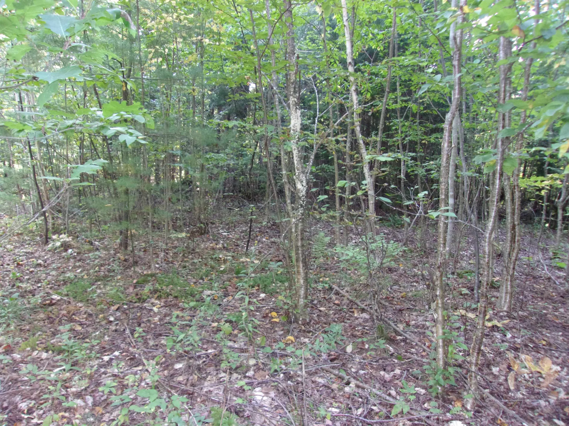 Fenn Way Circle Bath NH 03740