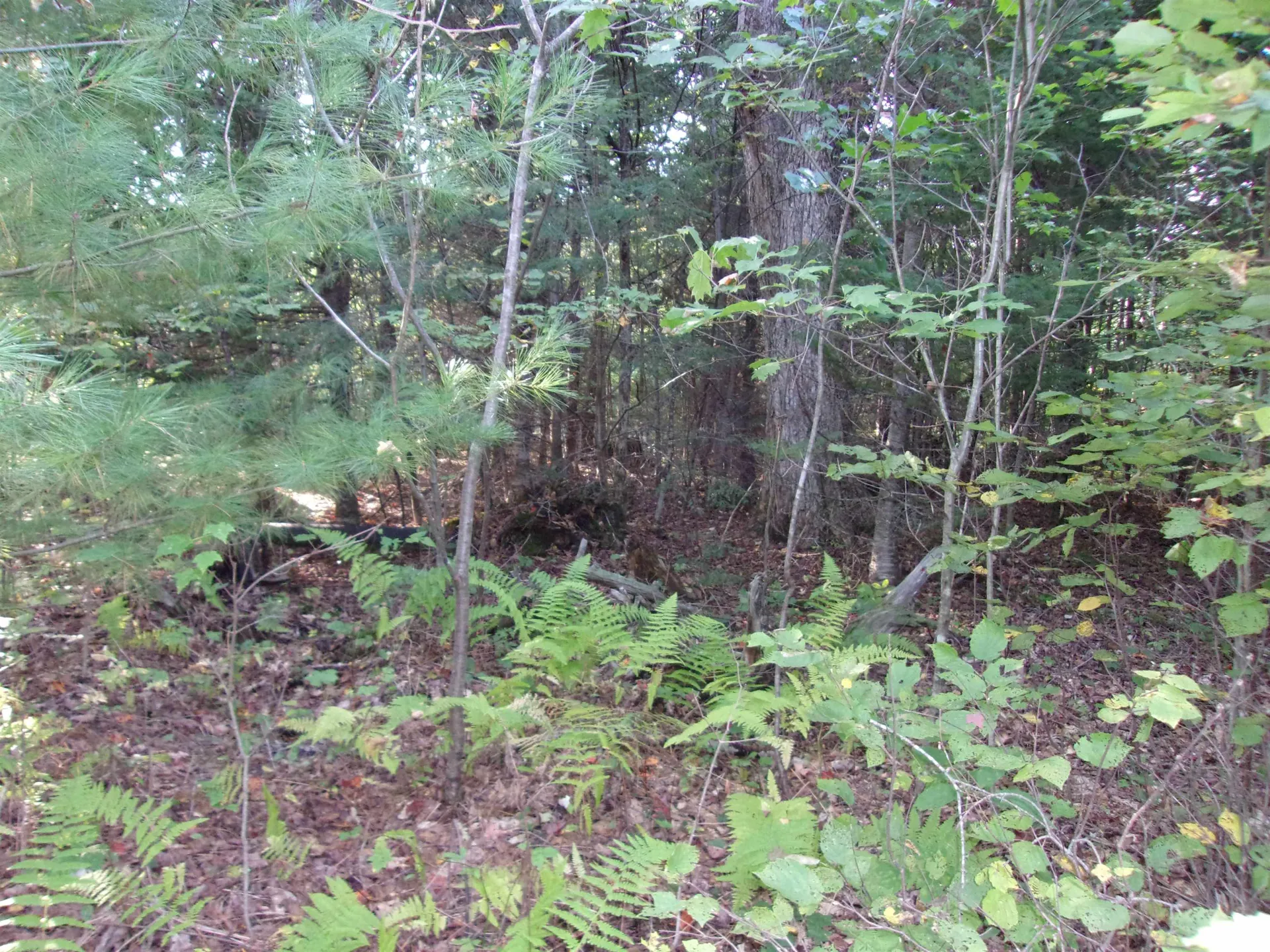 Fenn Way Circle Bath NH 03740