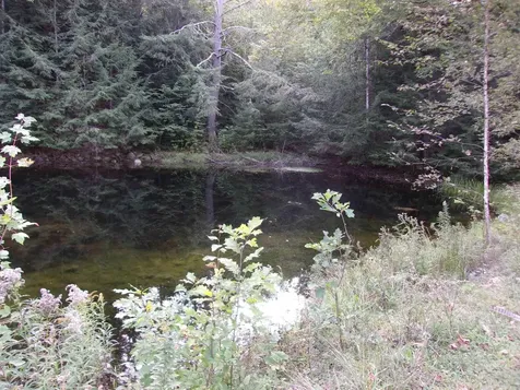 Fenn Way Circle Bath NH 03740